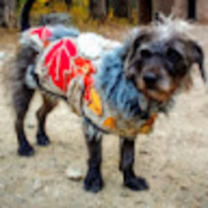 Meet your Posher, Andrew